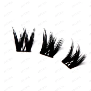 eyelash Clusters